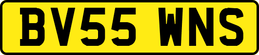 BV55WNS