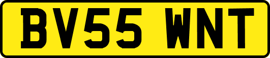 BV55WNT