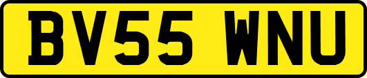 BV55WNU