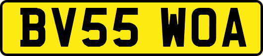 BV55WOA