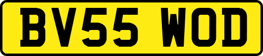 BV55WOD