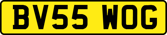 BV55WOG