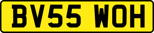 BV55WOH