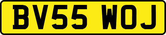 BV55WOJ