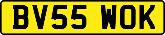 BV55WOK