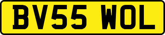 BV55WOL