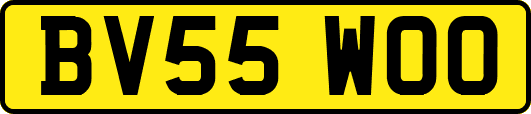 BV55WOO