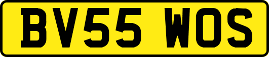 BV55WOS