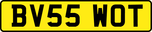 BV55WOT