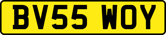 BV55WOY