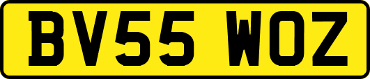 BV55WOZ