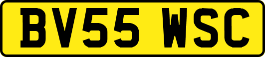 BV55WSC