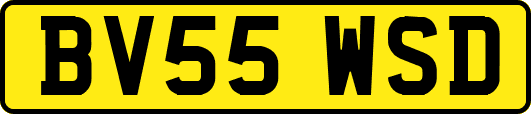 BV55WSD