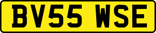 BV55WSE