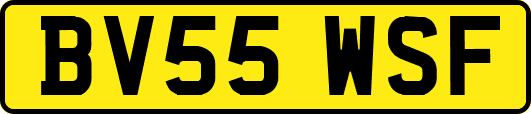 BV55WSF
