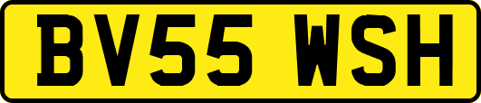 BV55WSH