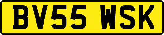 BV55WSK