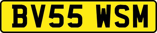 BV55WSM