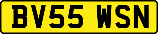 BV55WSN