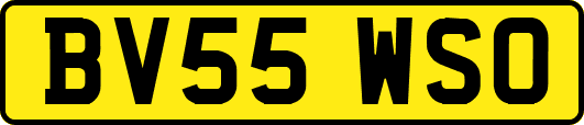 BV55WSO
