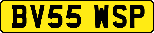 BV55WSP