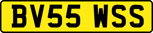 BV55WSS
