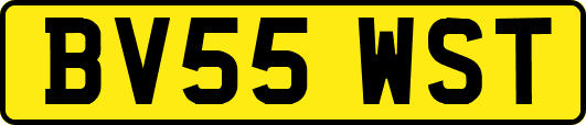 BV55WST