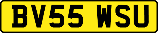 BV55WSU
