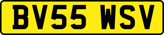 BV55WSV