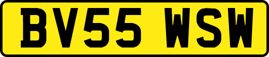 BV55WSW