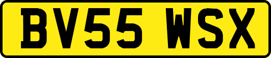 BV55WSX
