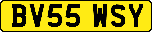 BV55WSY