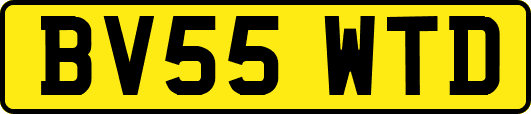 BV55WTD