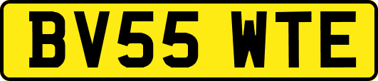 BV55WTE