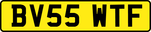 BV55WTF