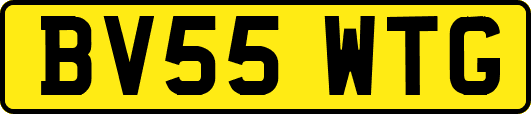 BV55WTG