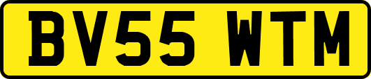 BV55WTM