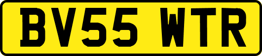 BV55WTR