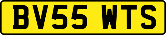 BV55WTS