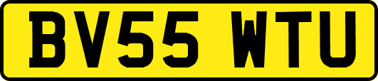 BV55WTU