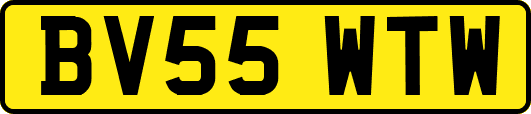 BV55WTW