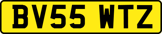 BV55WTZ