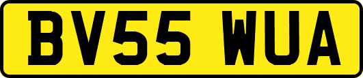 BV55WUA