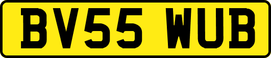 BV55WUB