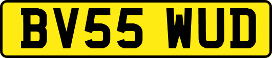 BV55WUD