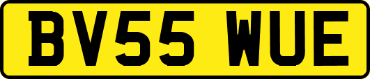 BV55WUE