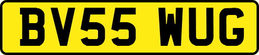 BV55WUG