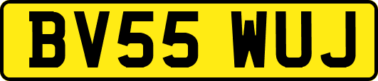 BV55WUJ