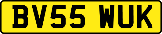 BV55WUK