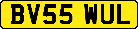 BV55WUL